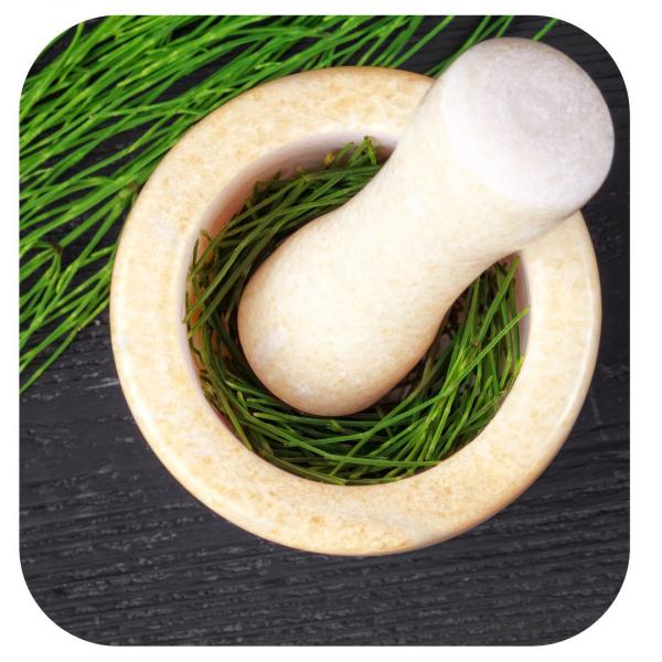 Schachtelhalm-kraut-bei-Cellulite-Tee